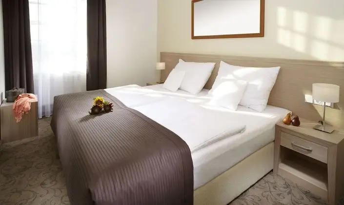 Superior Tek Büyük Yataklı Oda