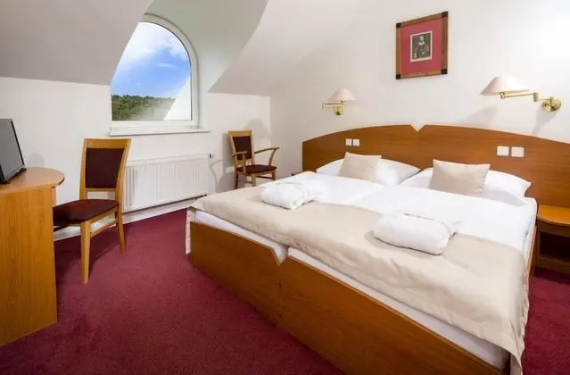 Superior Tek Büyük veya İki Ayrı Yataklı Oda