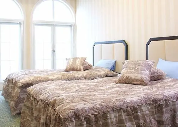 Deluxe İki Ayrı Yataklı Oda, Sigara İçilebilir