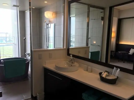 Executive İki Ayrı Yataklı Oda (Western Style Room with View Bath)