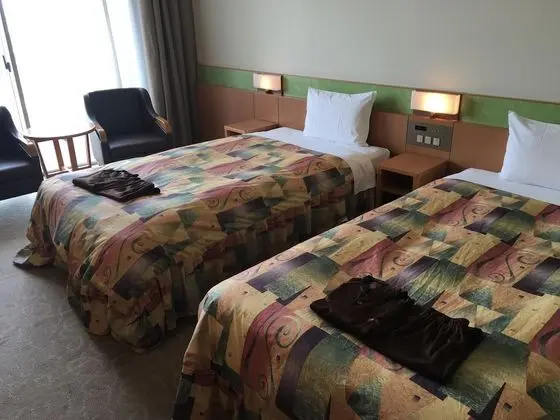 Standard İki Ayrı Yataklı Oda, 2 Tek Kişilik Yatak, Sigara İçilmez, Park Manzaralı (Balcony Room)