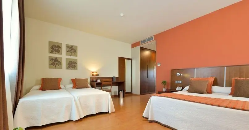 Tek Büyük Yataklı Oda (with extrabed / 3 adults)