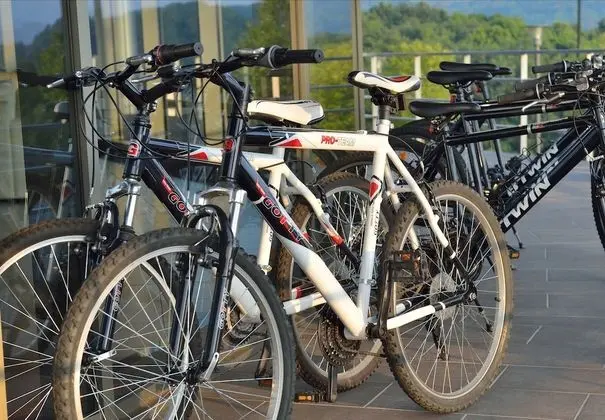 Tek Büyük Yataklı Oda (with extrabed / 3 adults)