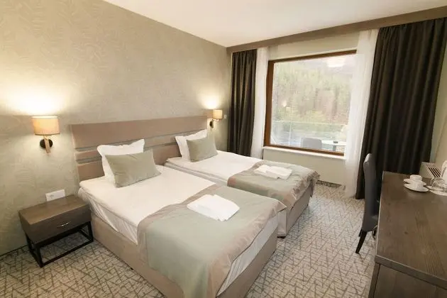 Deluxe Tek Büyük veya İki Ayrı Yataklı Oda