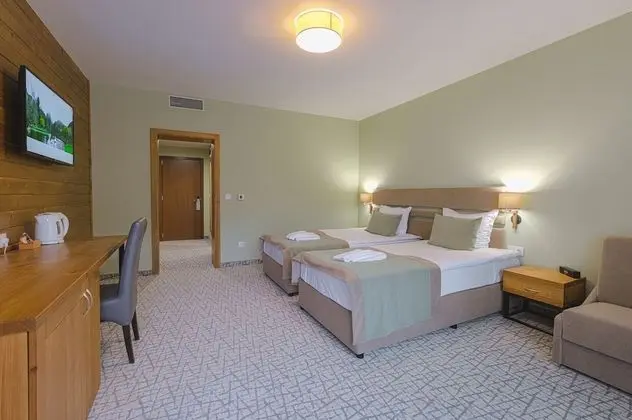 Deluxe Tek Büyük veya İki Ayrı Yataklı Oda