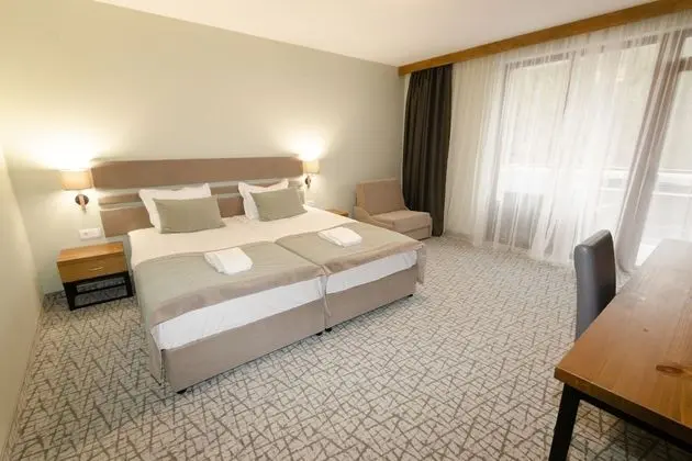 Deluxe Tek Büyük veya İki Ayrı Yataklı Oda