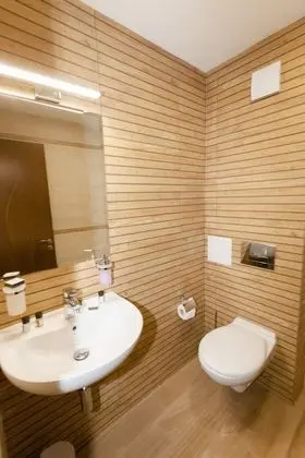 Deluxe Tek Büyük veya İki Ayrı Yataklı Oda