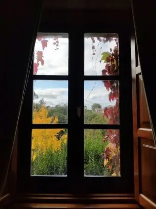 Grand Süit, 1 Yatak Odası