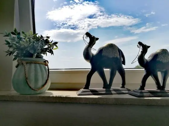 Standard Apart Daire, 2 Yatak Odası