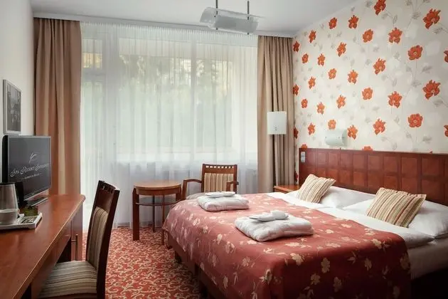 Tek Büyük veya İki Ayrı Yataklı Oda, Balkon, Şehir Manzaralı (Wellness access)