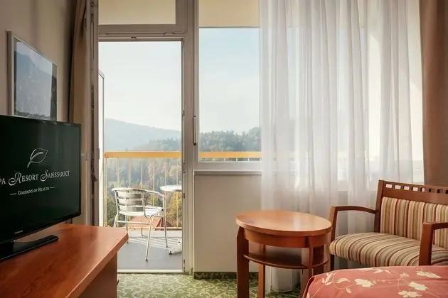 Tek Büyük veya İki Ayrı Yataklı Oda, Balkon, Şehir Manzaralı (Wellness access)