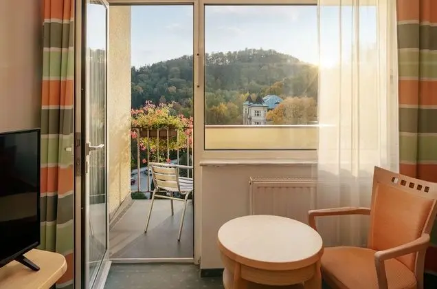 Üç Kişilik Oda (Wellness access)