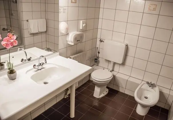 Superior Oda, 2 Tek Kişilik Yatak, Sigara İçilmez, Küvet