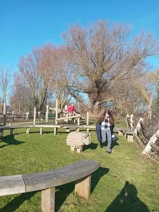 Dağ Evi, Birden Çok Yatak