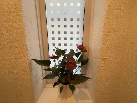 Ev, Birden Çok Yatak