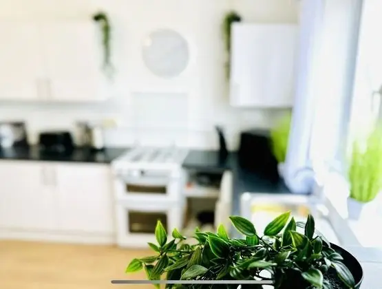 Apart Daire, Birden Çok Yatak