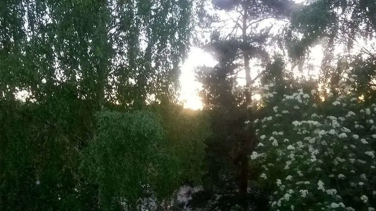 Apart Daire, 2 Yatak Odası, Sauna