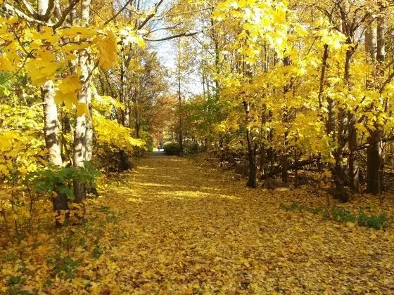 Apart Daire, 2 Yatak Odası, Sauna