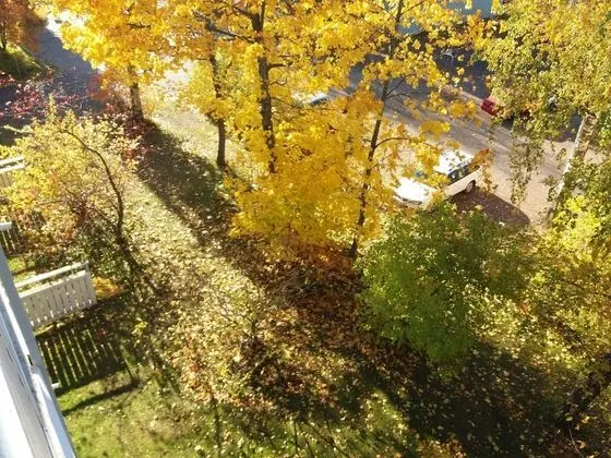 Apart Daire, 2 Yatak Odası, Sauna