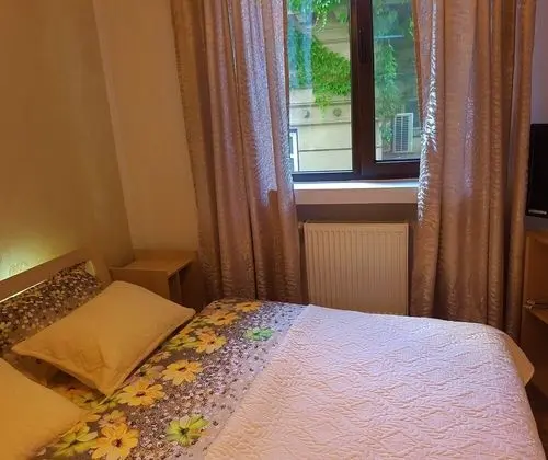Apart Daire, 1 Büyük (Queen) Boy Yatak ve Çekyat