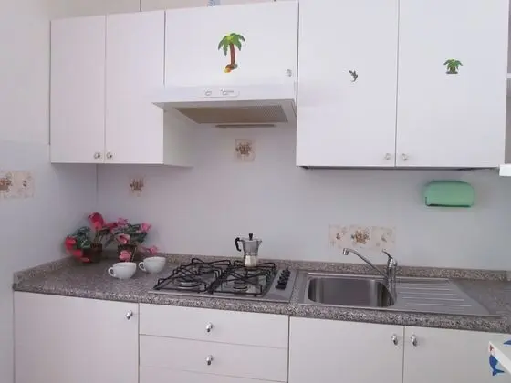Apart Daire, 1 Yatak Odası, Sigara İçilebilir