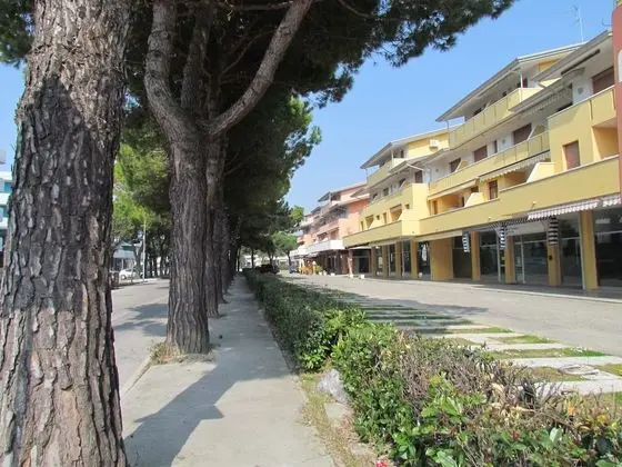 Apart Daire, 1 Yatak Odası, Sigara İçilebilir
