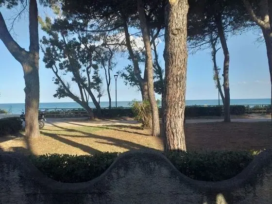 Oda, 1 Yatak Odası, Balkon