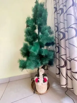 Ortak Ranzalı Oda, 1 Yatak Odası, Buzdolabı