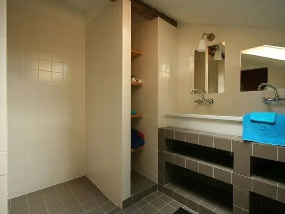 Ev