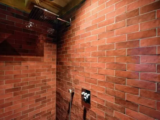 Ev