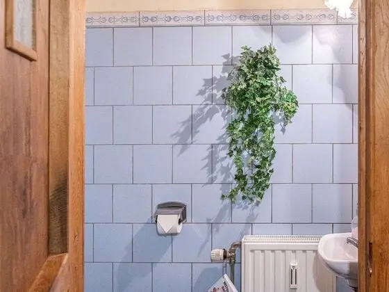 Ev