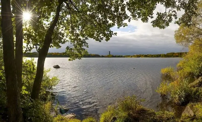 Apart Daire, 3 Yatak Odası, Mikrodalga
