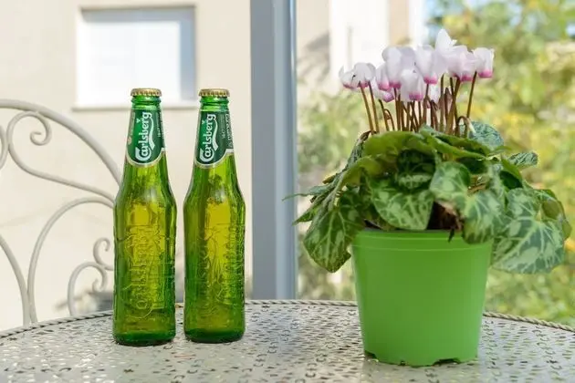 Classic Apart Daire, 2 Yatak Odası