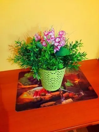 Apart Daire, 4 Yatak Odası, Sigara İçilebilir, Balkon