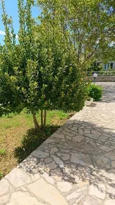 Apart Daire, 4 Yatak Odası, Sigara İçilebilir, Balkon