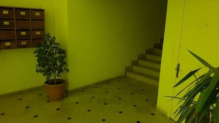 Apart Daire, 1 Yatak Odası, Sigara İçilebilir, Mikrodalga