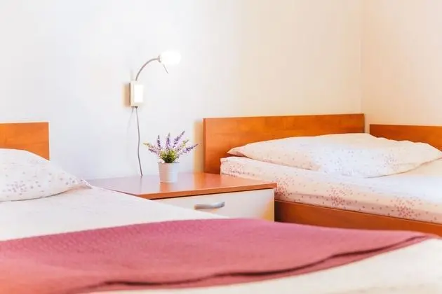 Comfort Stüdyo, Şehir Manzaralı