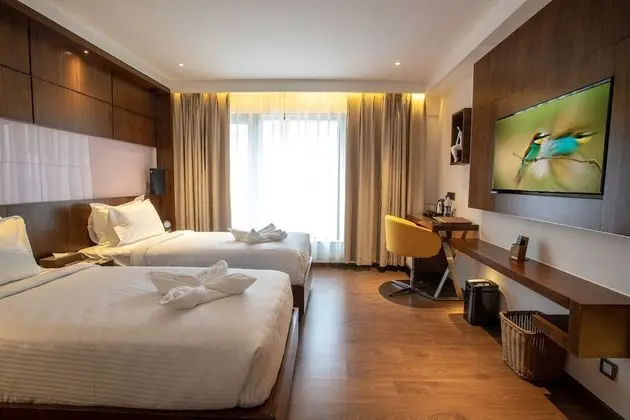 Economy Tek Büyük veya İki Ayrı Yataklı Oda, Şehir Manzaralı