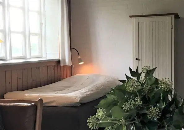 Basic Tek Büyük Yataklı Oda, Ortak Banyo