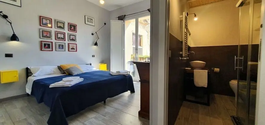 Superior Tek Büyük Yataklı Oda, 1 En Büyük (King) Boy Yatak, Sigara İçilmez, Şehir Manzaralı