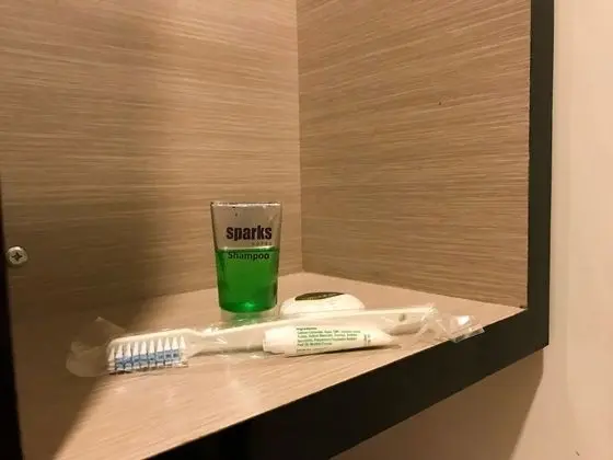 Superior Tek Büyük veya İki Ayrı Yataklı Oda