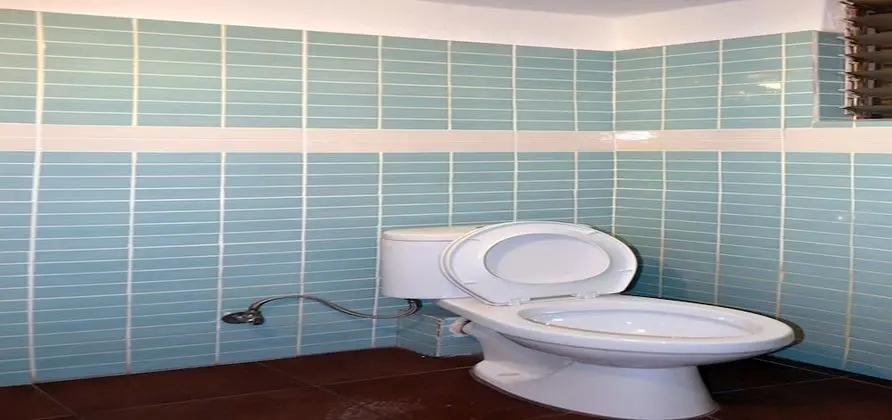 Standard Tek Büyük veya İki Ayrı Yataklı Oda, Ortak Banyo