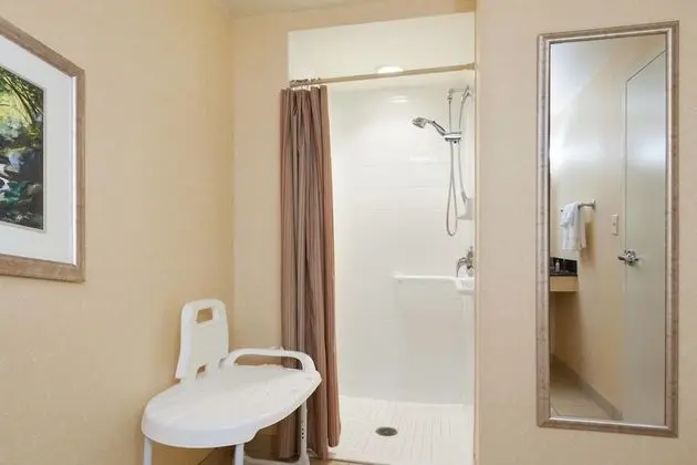 Club Oda, 1 En Büyük (King) Boy Yatak ve Çekyat (Mobility Accessible, Roll-In Shower)