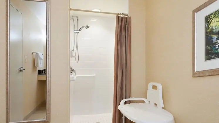 Club Oda, 1 En Büyük (King) Boy Yatak ve Çekyat (Mobility Accessible, Roll-In Shower)