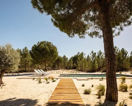 Villa, 4 Yatak Odası, Kişiye Özel Havuzlu
