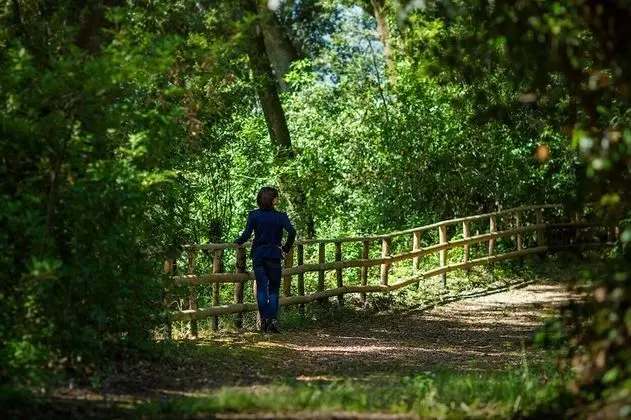 Villa, 2 Yatak Odası, Sauna