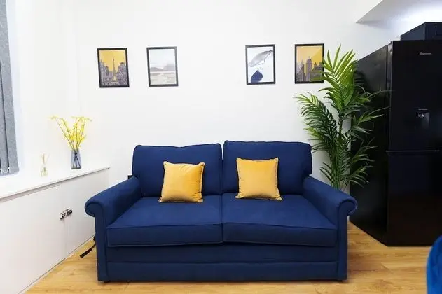 Standard Apart Daire, Özel Banyo (One Bedroom)
