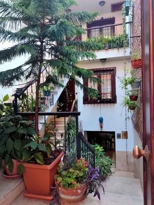 Junior Tek Büyük Yataklı Oda, 1 Yatak Odası