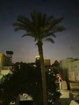 Standard Tek Büyük Yataklı Oda, 1 En Büyük (King) Boy Yatak