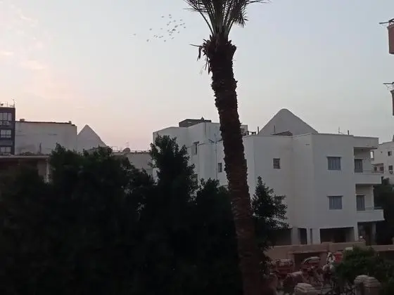 Standard Tek Kişilik Oda, 1 En Büyük (King) Boy Yatak